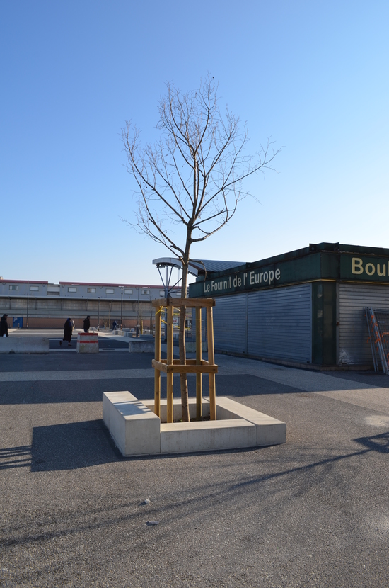 Bordures pour jardinière en béton